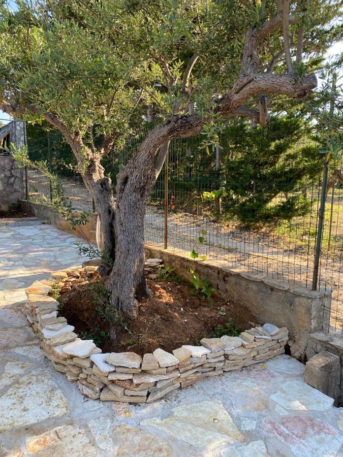 Villa L'Orizzonte Di Calabianca Castellammare del Golfo Extérieur photo
