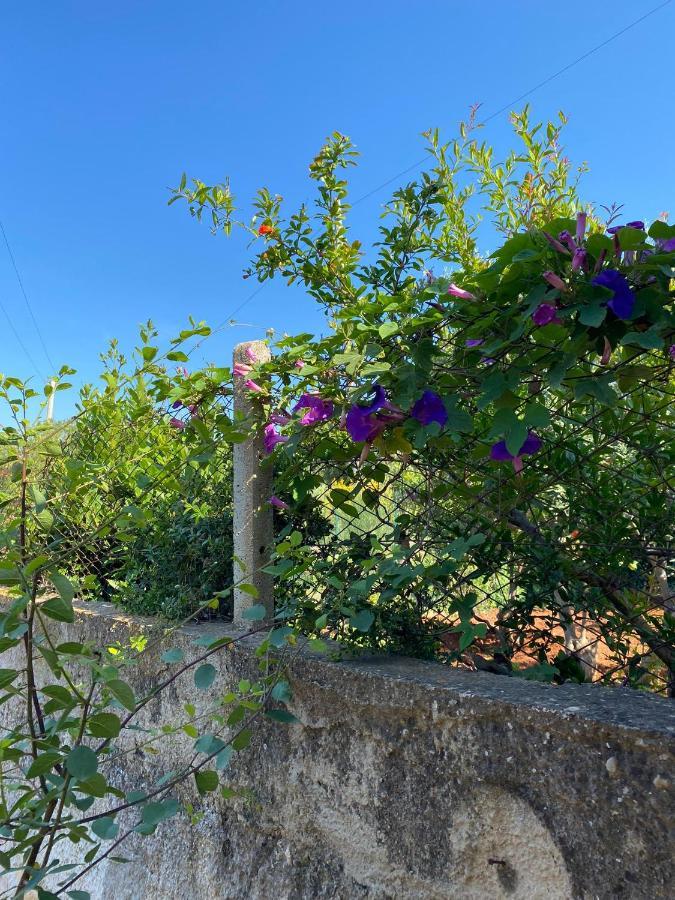 Villa L'Orizzonte Di Calabianca Castellammare del Golfo Extérieur photo