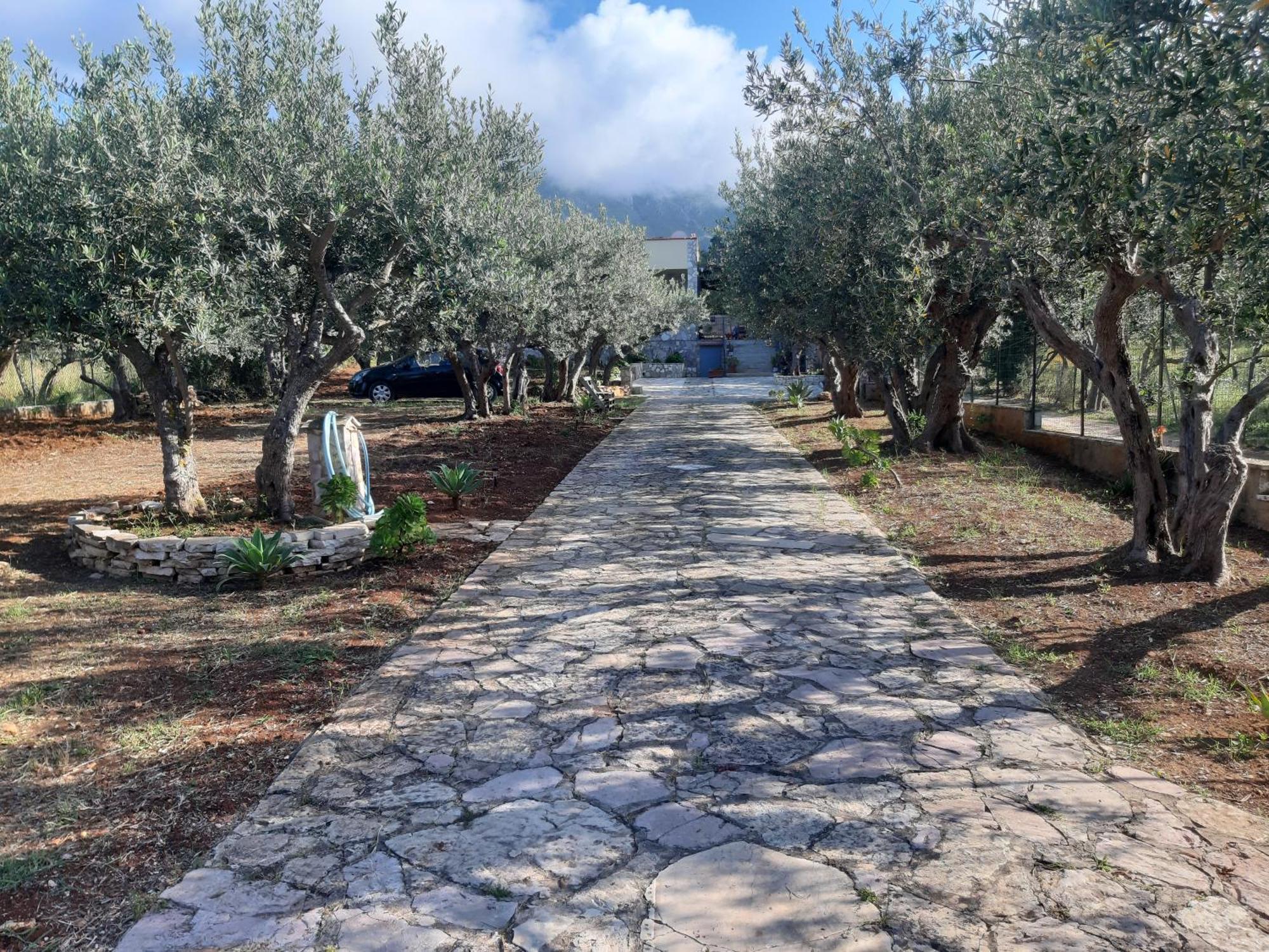 Villa L'Orizzonte Di Calabianca Castellammare del Golfo Extérieur photo