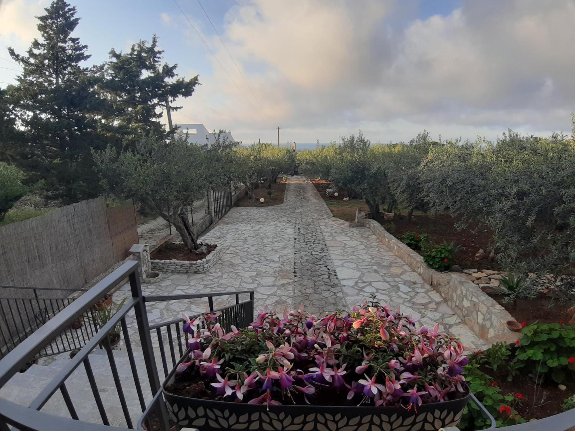 Villa L'Orizzonte Di Calabianca Castellammare del Golfo Extérieur photo