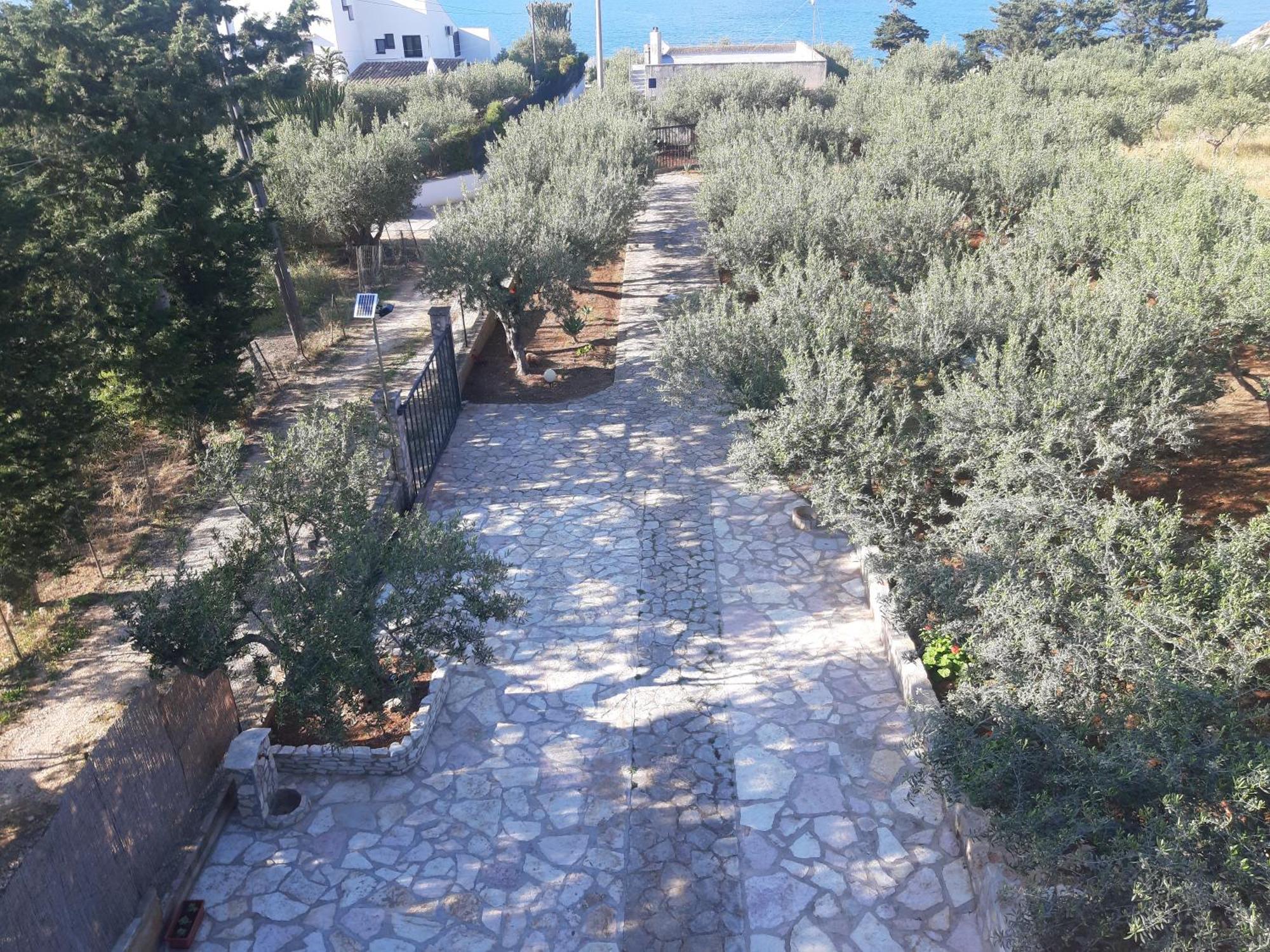 Villa L'Orizzonte Di Calabianca Castellammare del Golfo Extérieur photo